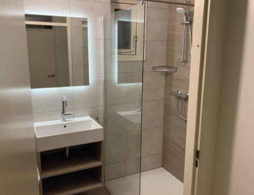 WOONBOERDERIJ RUINEN